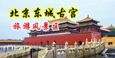 .黑人射精视频中国北京-东城古宫旅游风景区